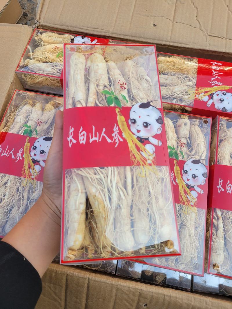 人参白须参25支多种规格大货供应七彩百草中药材批发
