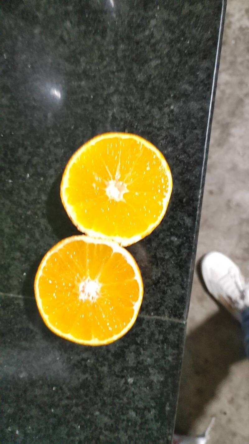 爱媛38