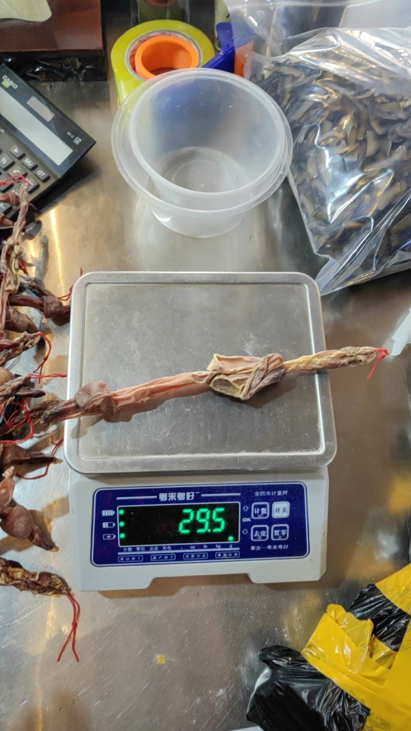 鹿鞭批发实惠泡酒批发代发源头鹿场