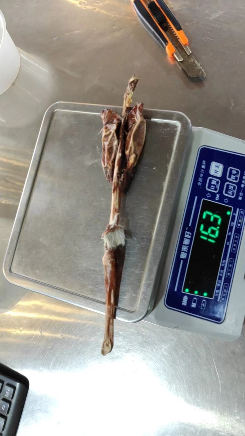 鹿鞭批发实惠泡酒批发代发源头鹿场