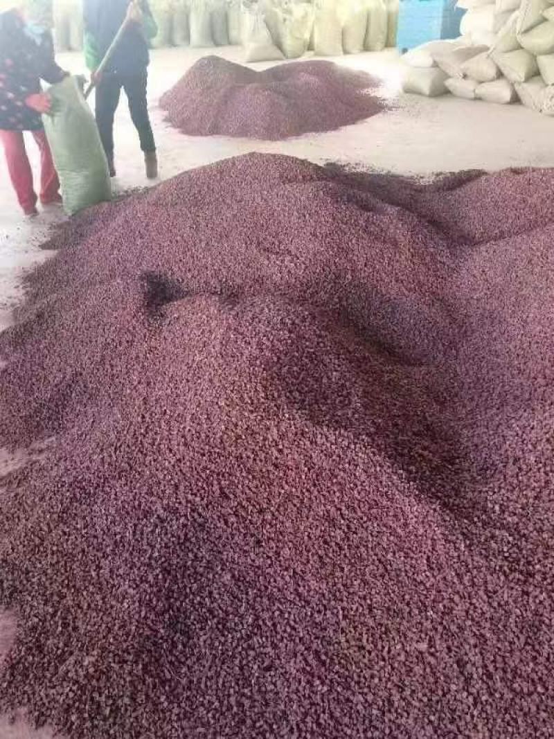 精选优质凌紫大量上市，欢迎各地客商前来咨询选购
