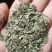 重庆青花椒叶子产地直销一手货源，需要货源的老板提前预订