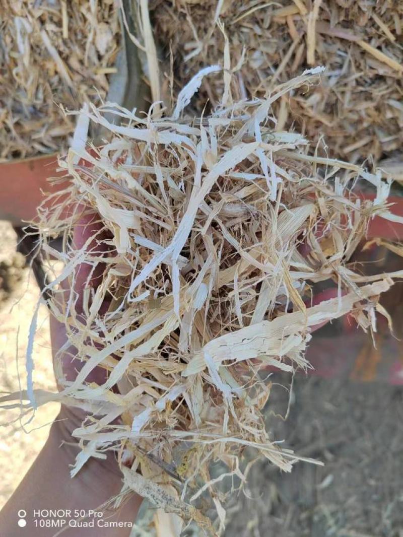 石家庄玉米秸秆粉碎柔丝过筛过风除尘不含土欢迎电联