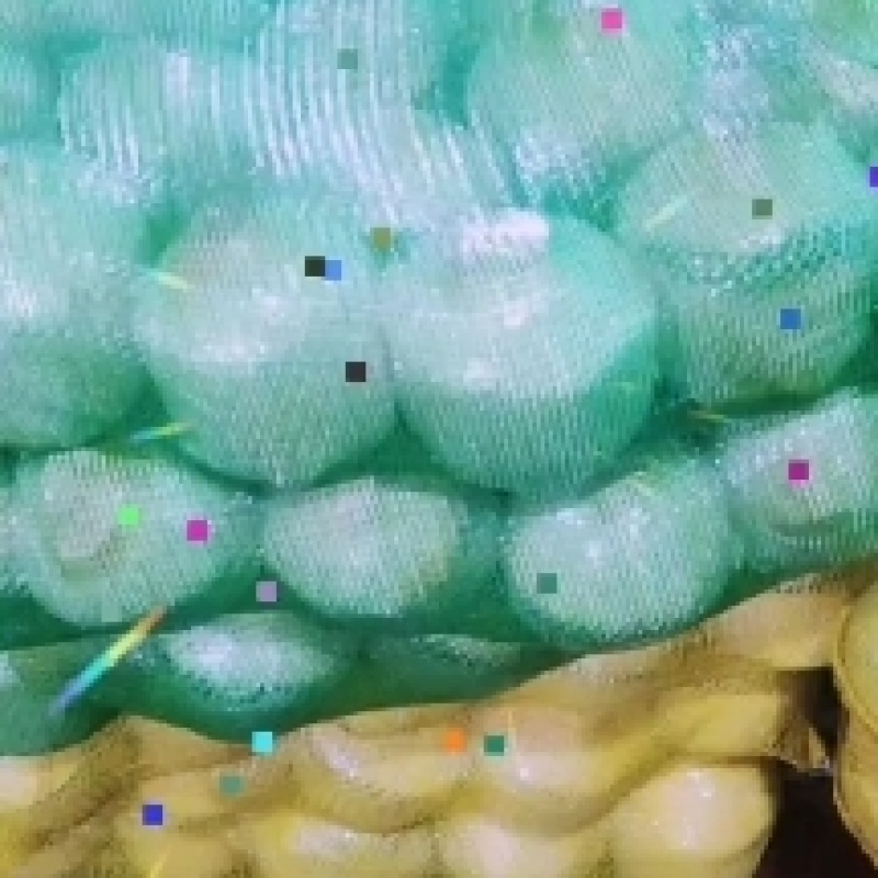 海南新鲜椰子