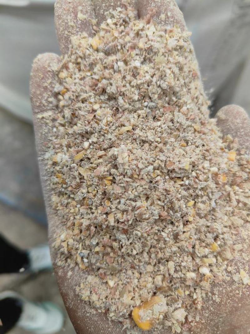 碎玉米净粮，养殖好饲料，适用鸡鸭鹅牛羊猪养殖
