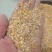 碎玉米净粮，养殖好饲料，适用鸡鸭鹅牛羊猪养殖