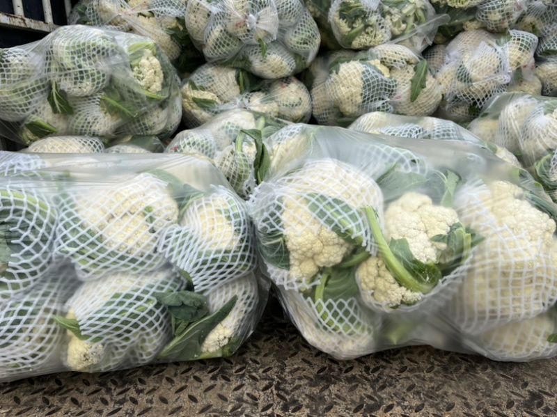 花菜白面青梗小米花有机花菜鲜花菜产地大量供应