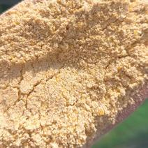 精品玉米次粉，可代替玉米养殖，品质好，常年供应