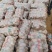 青薯九号土豆，甘肃定西，实力代办