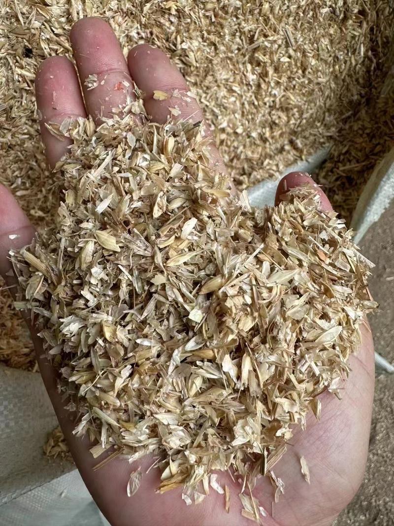 麦糠现货，干净整洁无土无沙，可以代替稻壳做饲料，有机肥。