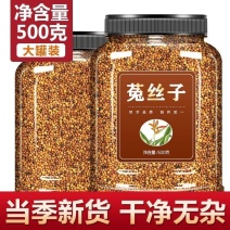 菟丝子中药材泡茶内蒙兔丝子