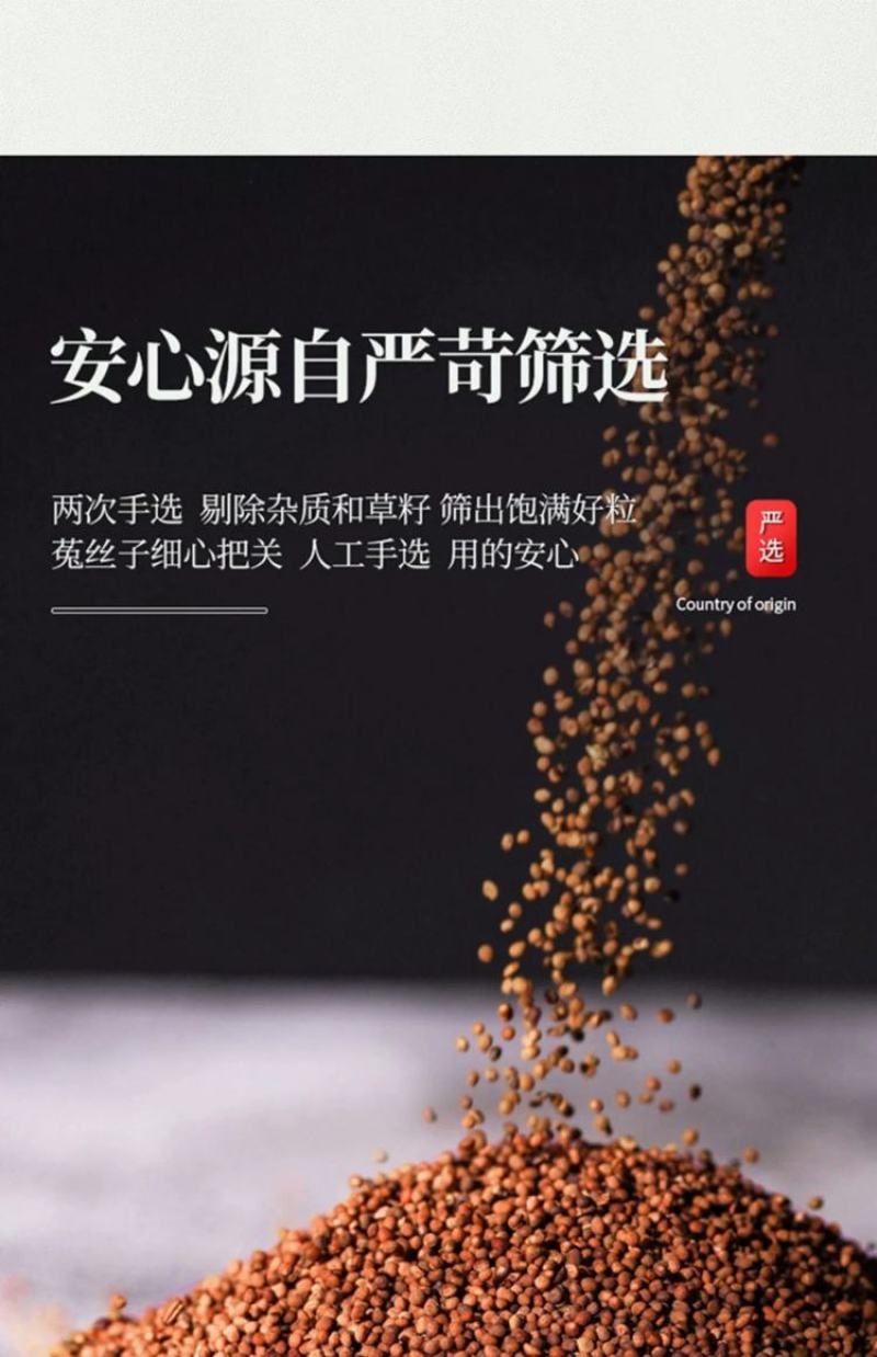 菟丝子中药材泡茶内蒙兔丝子