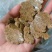 南瓜籽饼，喂牛喂猪喂羊好饲料。蛋白含量高，适口性好