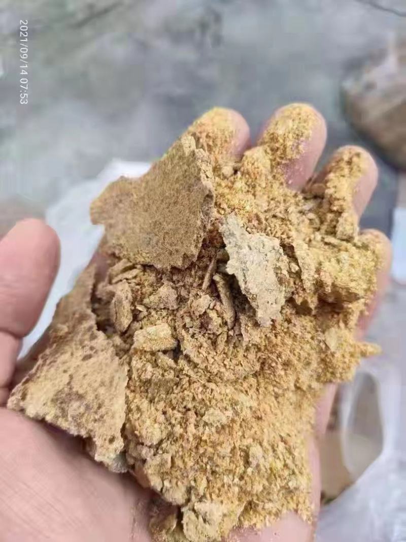 南瓜籽饼，喂牛喂猪喂羊好饲料。蛋白含量高，适口性好