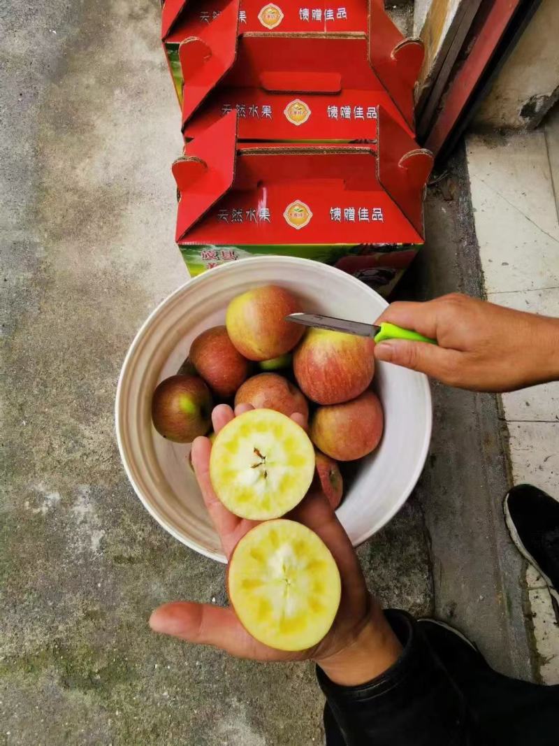 茂汶理三县实力代办产地直销糖心苹果，红富士