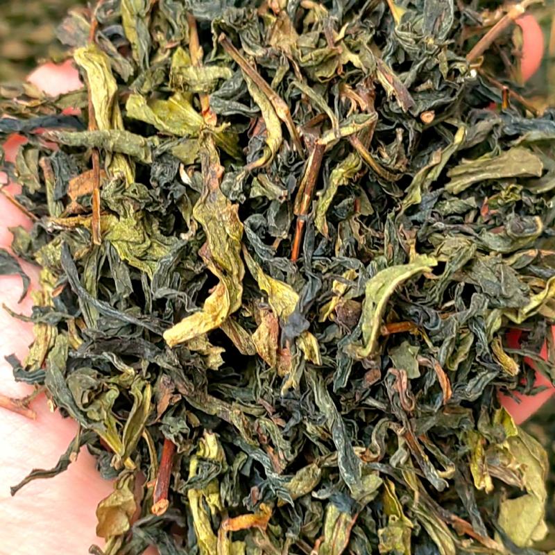 高山茶潮汕黄旦茶浓香型清香乌龙茶惠来土山茶大坪高山土山茶