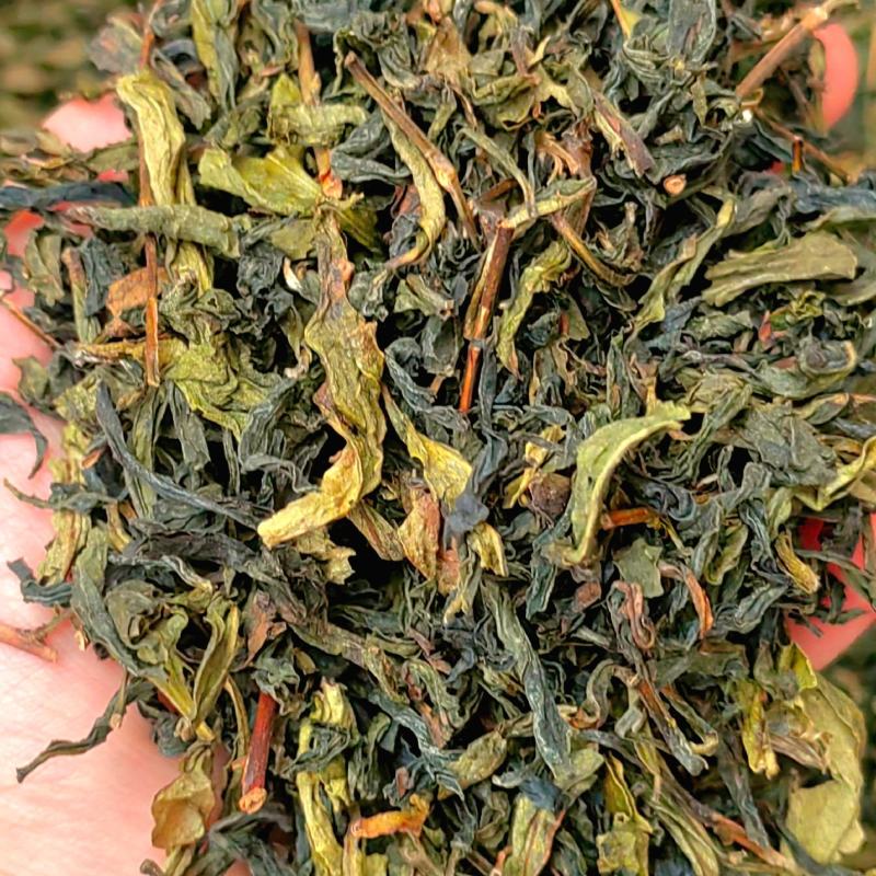 高山茶潮汕黄旦茶浓香型清香乌龙茶惠来土山茶大坪高山土山茶