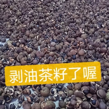 茶子无公害***，原生态