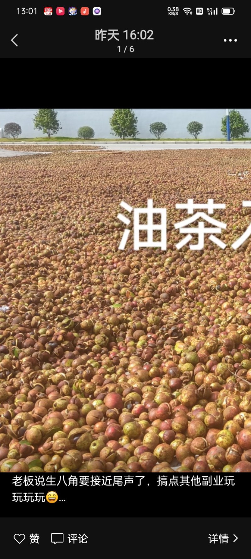 茶子无公害***，原生态