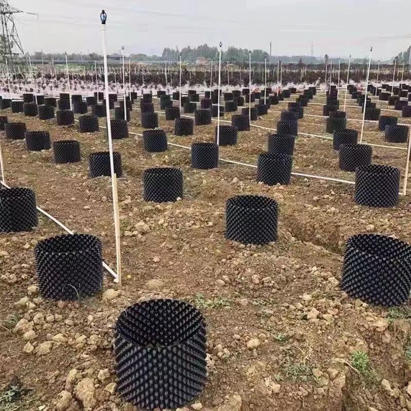 植树专用控根器多规格种植育苗围树板工厂批发