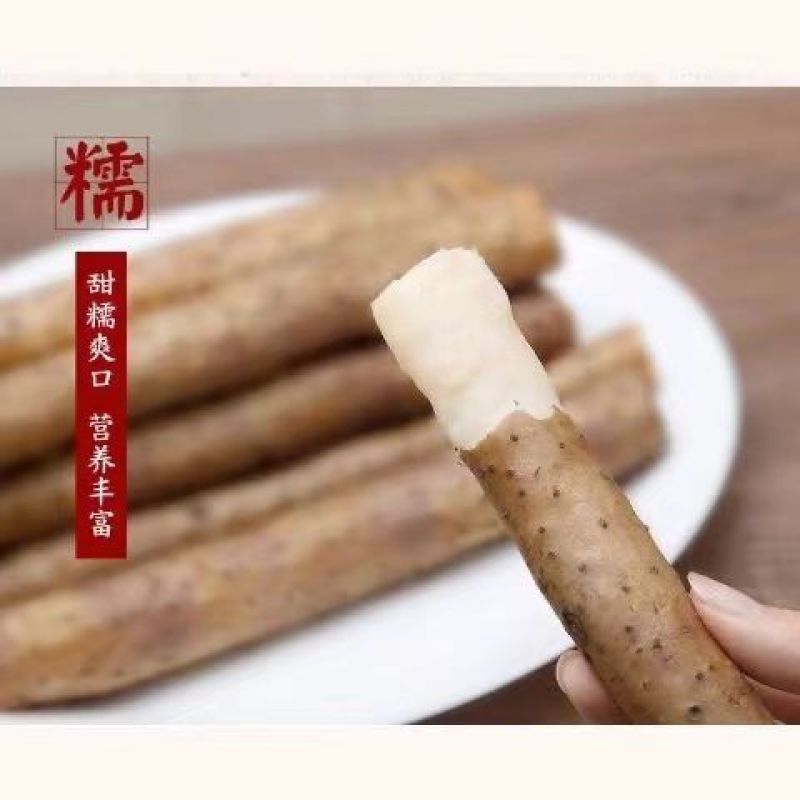 西施山药大量现货价格可谈物美价廉欢迎各个采购商咨询