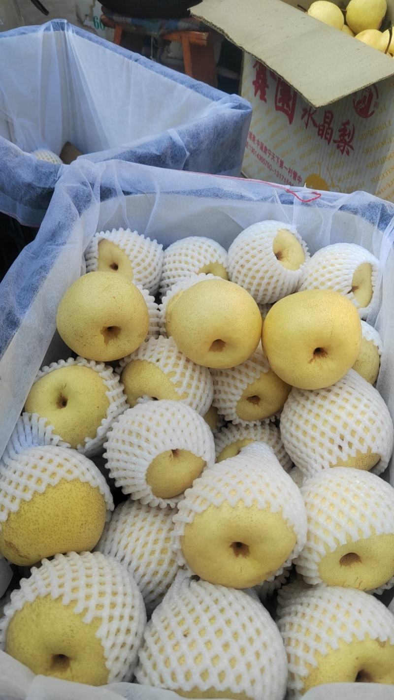 70-75精品酥梨，框装贡梨，果面干净口感好一级精品