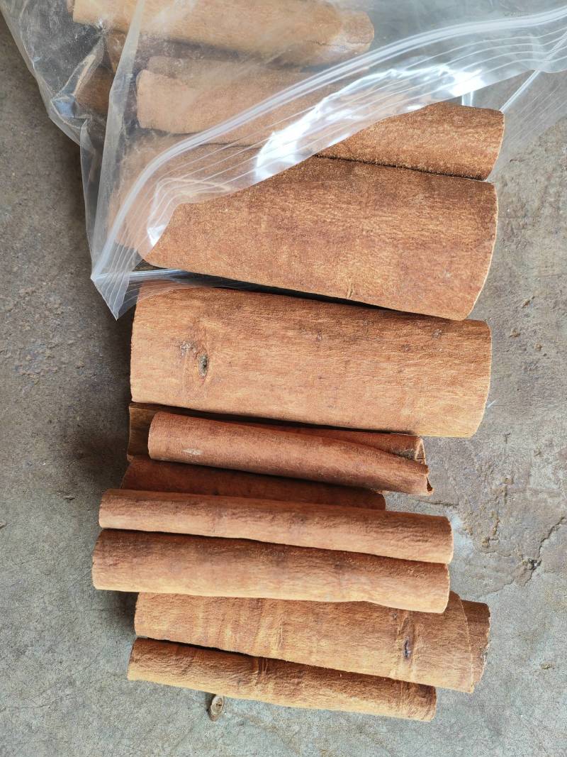 肉桂黄通去皮桂皮肉桂新货上市产地直发桂皮中通大通桂段