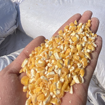 养殖碎玉米用于鸡鸭鹅猪牛羊饲料原料，各种饲料添加剂