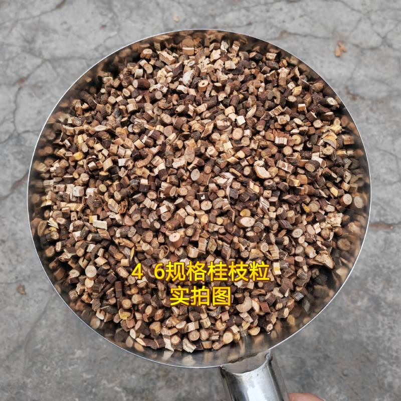 2斤起批特细嫩桂枝尖桂枝粒药用广西特产玉林直发另卖桂枝片