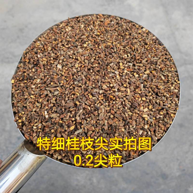 2斤起批特细嫩桂枝尖桂枝粒药用广西特产玉林直发另卖桂枝片
