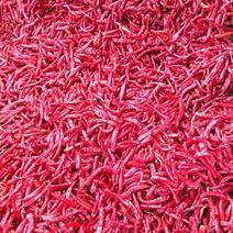 大量供应剪把北京红干辣椒需要的客户。