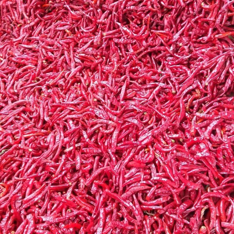 大量供应剪把北京红干辣椒需要的客户联系。