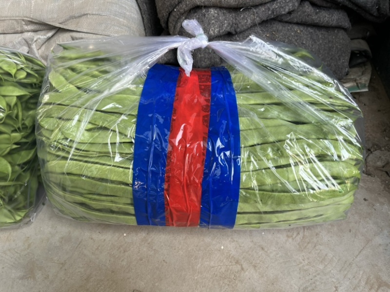 青扁豆，芸豆，大扁，大量上市中，供应批发超市零售