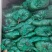 香菜大量供应质优价廉欢迎各位客商光临选购