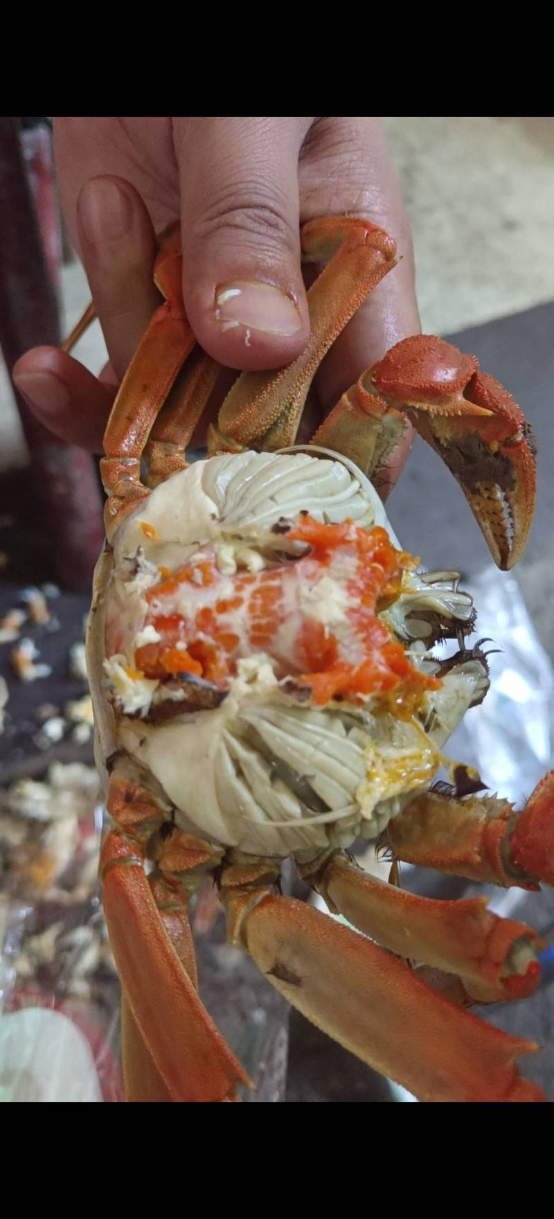 湖北洪湖产地批发；大闸蟹，青壳白底，一件包邮，诚信经营！