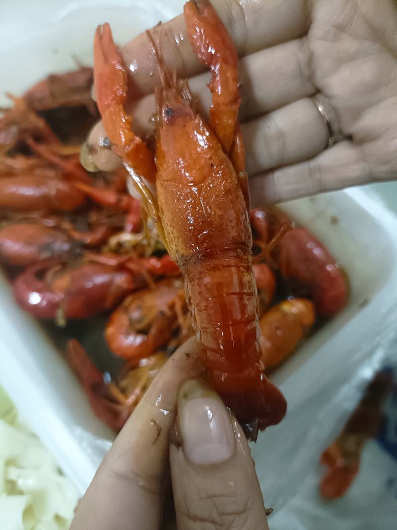 调理小龙虾，4/6型号，毛重650净重500克