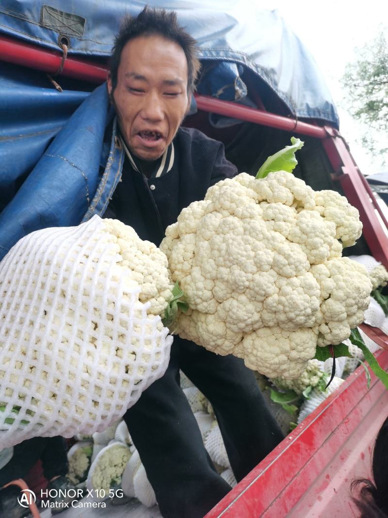松花