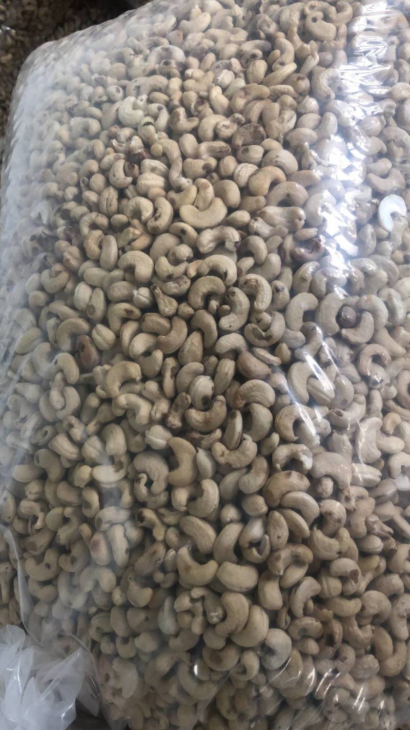 进口多哥，几内亚比绍一手货源，高品质腰果，欢迎老板前来选
