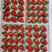 【代办】大凉山德昌冬草莓，对接各大市场，美团优选，多多买菜