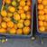 爱媛果冻橙大量有货，薄皮多汁，原生态果，有需要的老板联系
