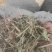 花生秧