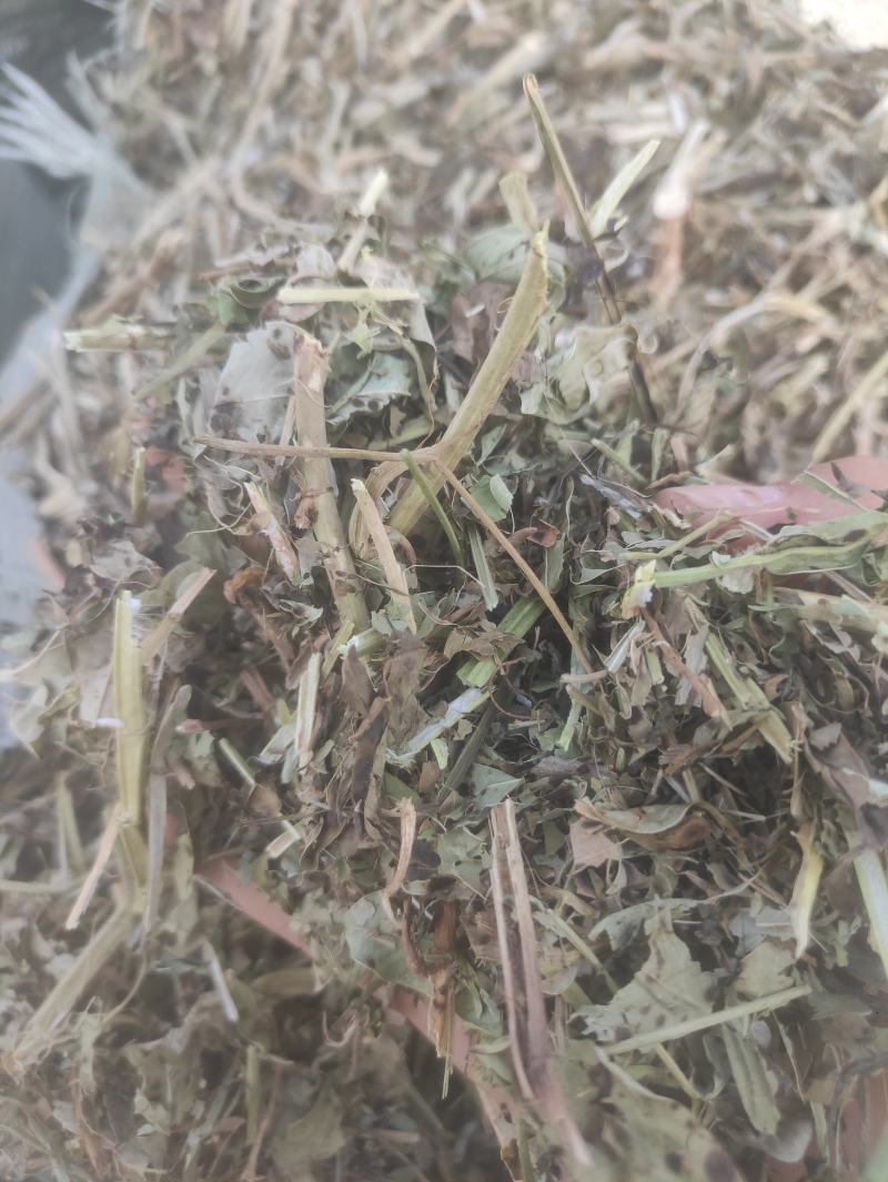 花生秧