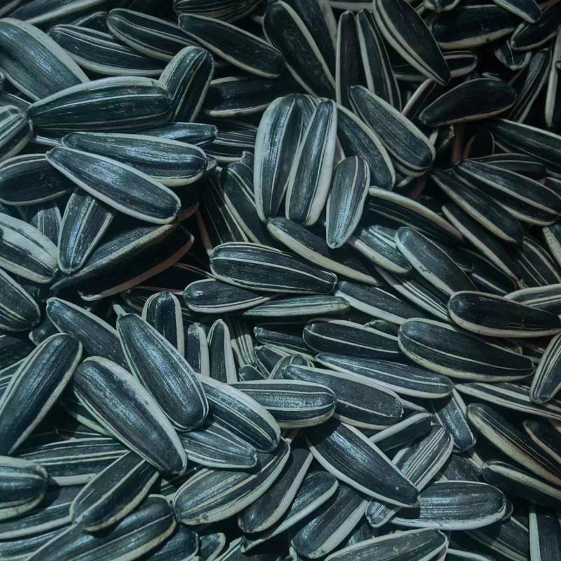 【牛商推荐】河北生瓜子同辉18颗粒饱满产地直发可视频看货