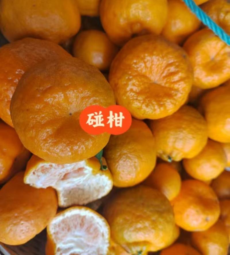 [精品】芦柑-碰柑口感细腻.纯甜，水分充足，可视频看货