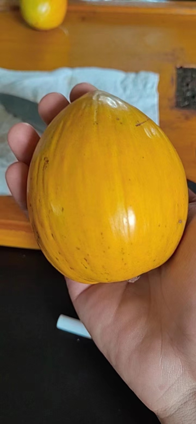 正品AL罗斯果苗带榴莲香味多季抗寒易管理