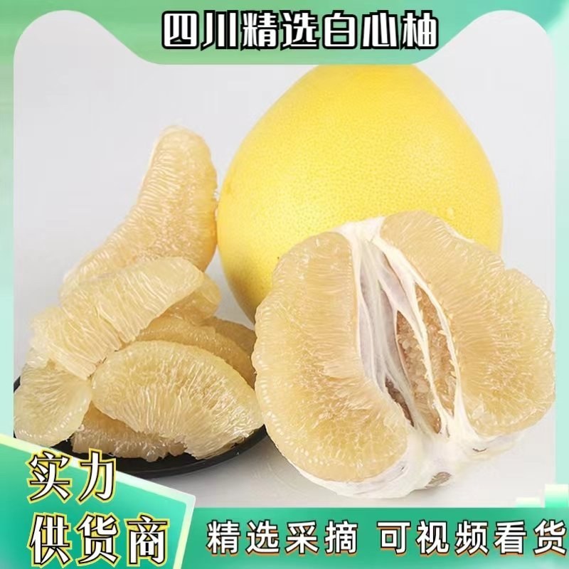 乐山白心柚大量上市，质量保证，可视频看货
