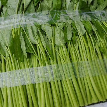 精品泡沫箱空心菜#产地直发#***********