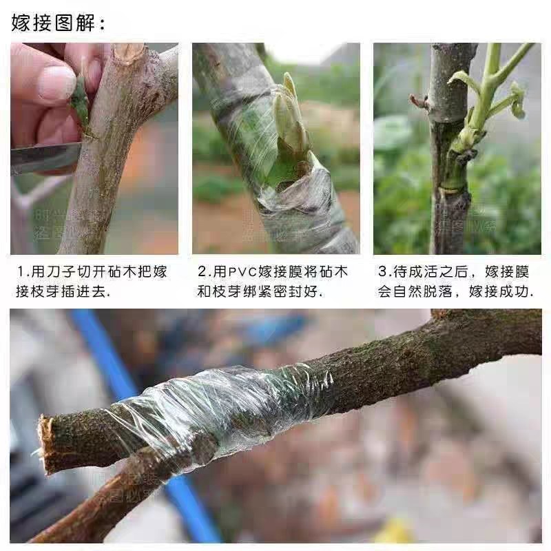 嫁接膜嫁接膜果树嫁接专用自粘式薄膜耐拉伸透明保鲜膜PVC