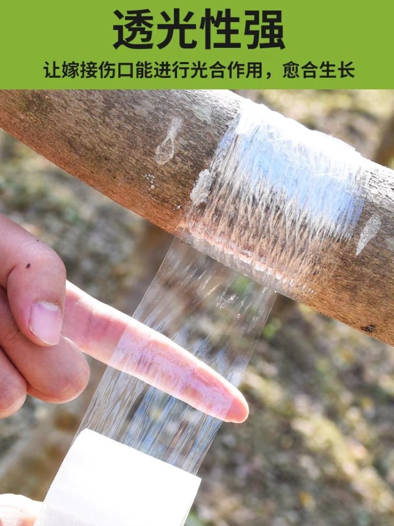 嫁接膜嫁接膜果树嫁接专用自粘式薄膜耐拉伸透明保鲜膜PVC