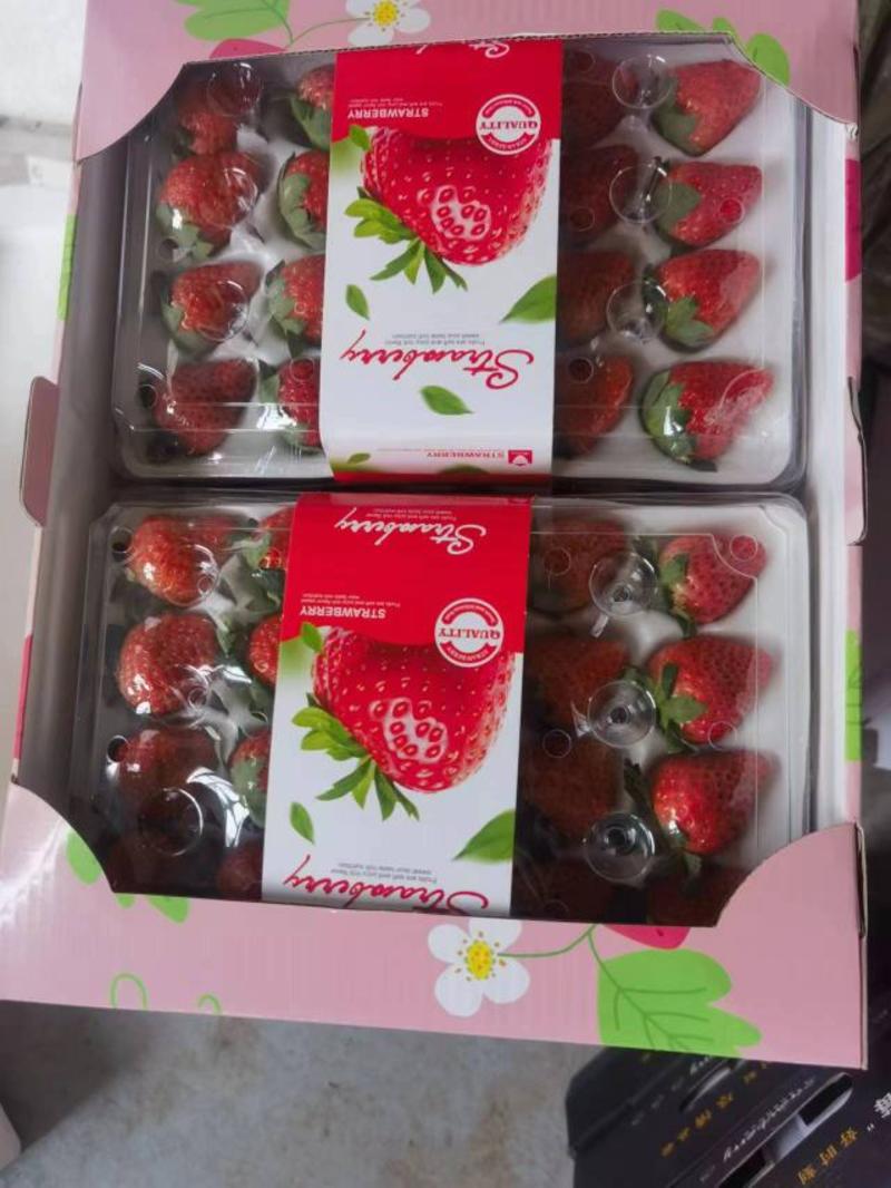 江苏精品草莓宁玉草莓承接商超社团电商供货代发代加工